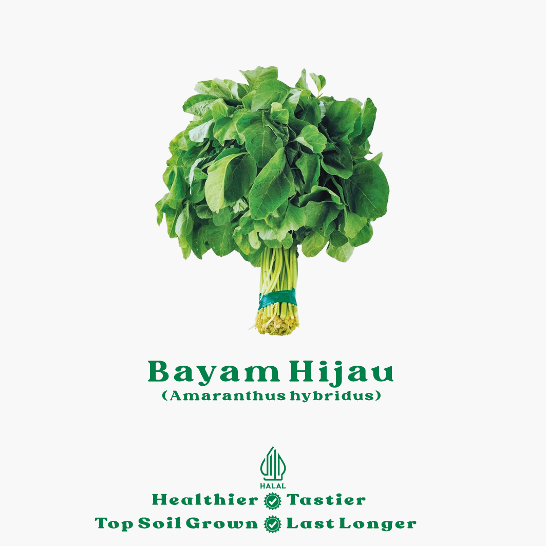 bayam hijau bayam hijau