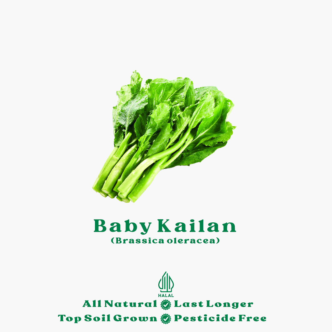 baby kailan organik baby kailan organik