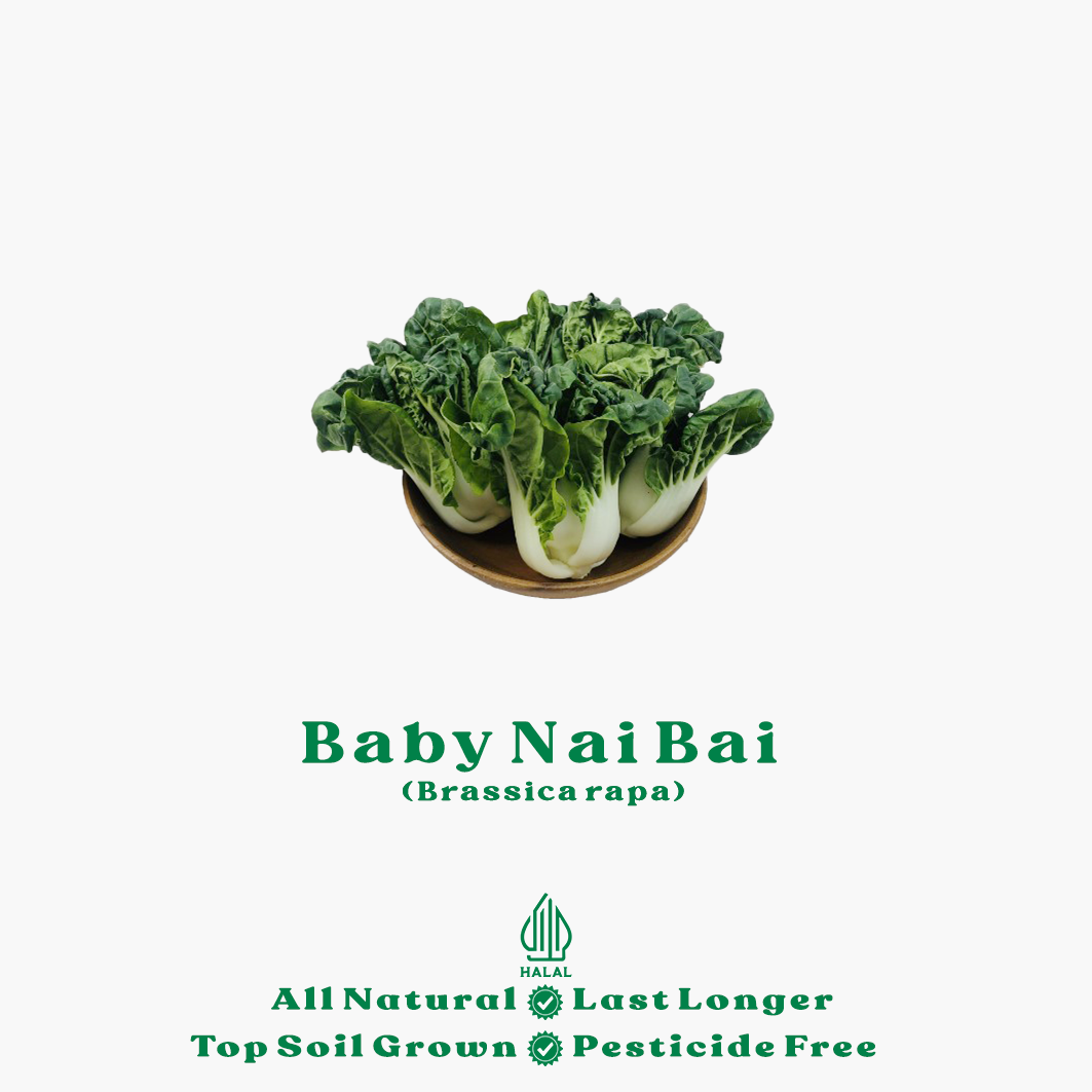 baby nai bai organik baby nai bai organik