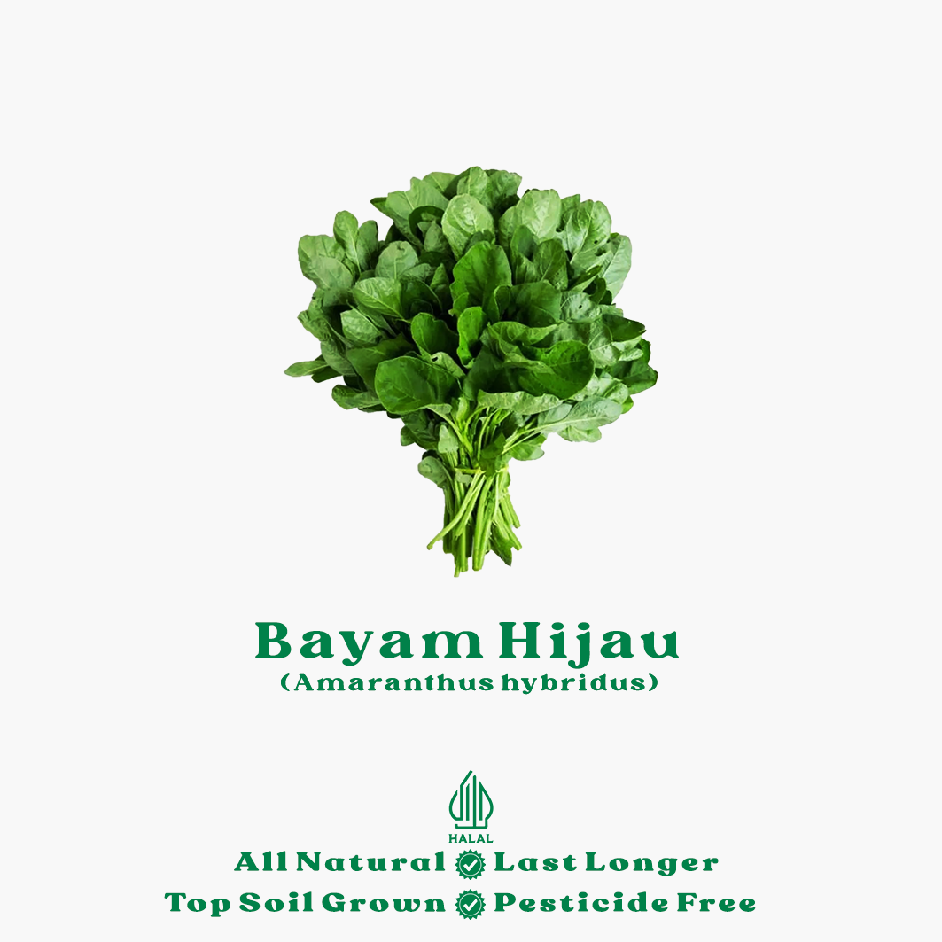 bayam hijau organik bayam hijau organik