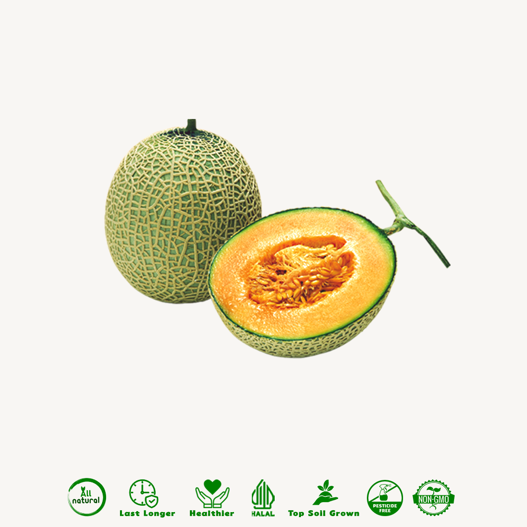 Melon Rock New Ceria Organik