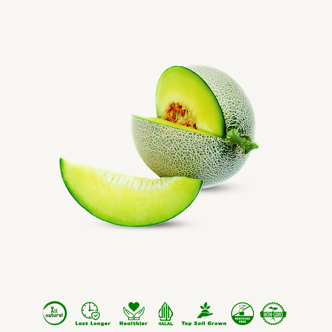 Melon Sky Rocket Organik