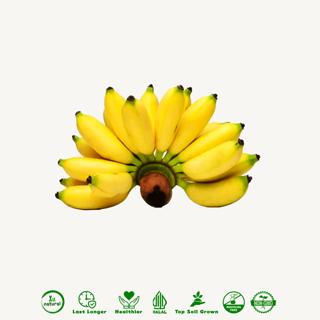 Pisang Susu Raja Organik