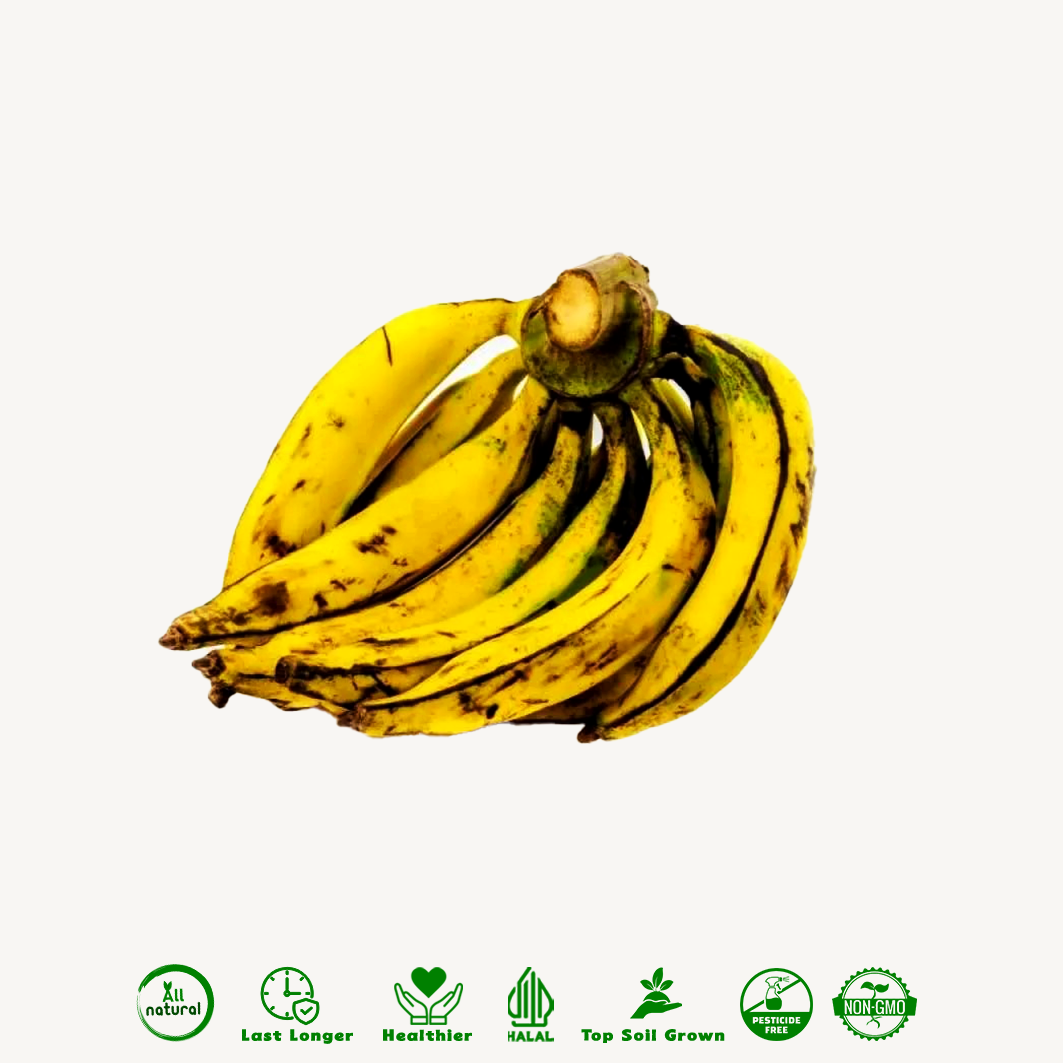 Pisang Tanduk Organik