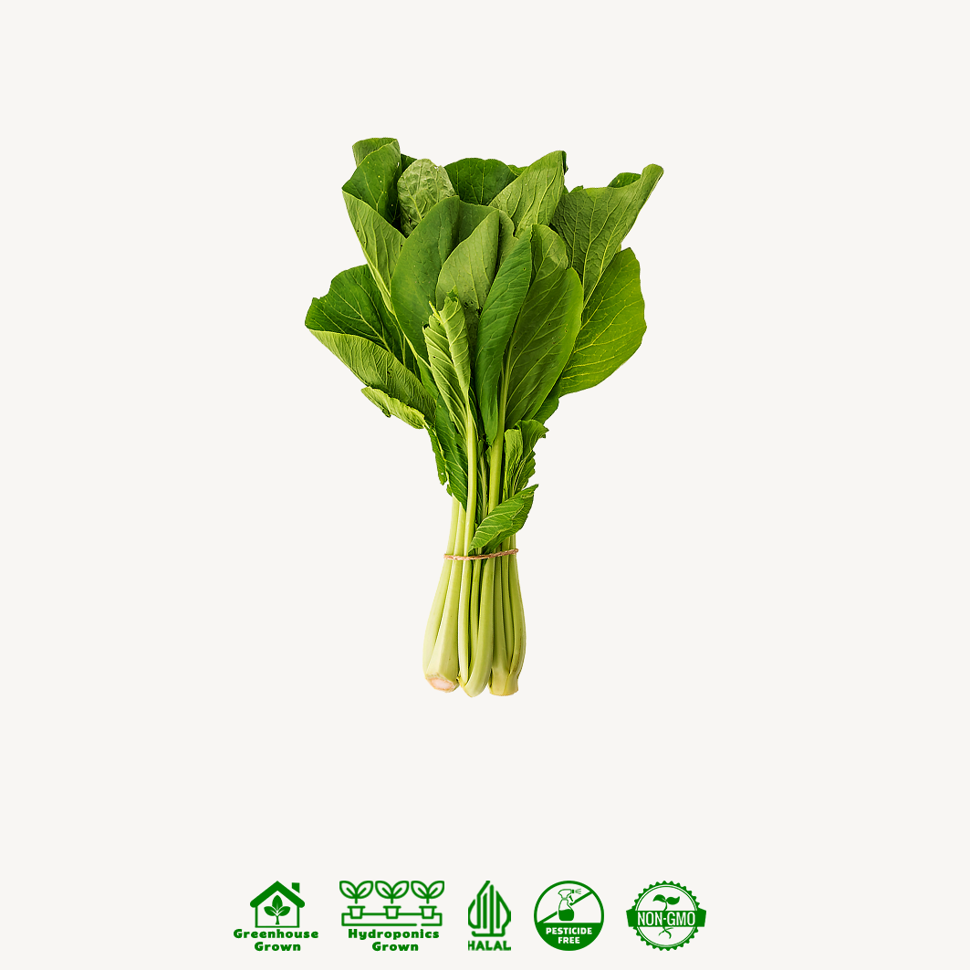 Sawi Hijau / Caisim Hidroponik