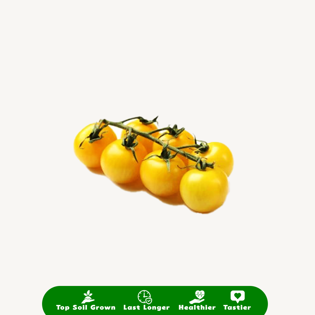 Tomat Golden Sweet