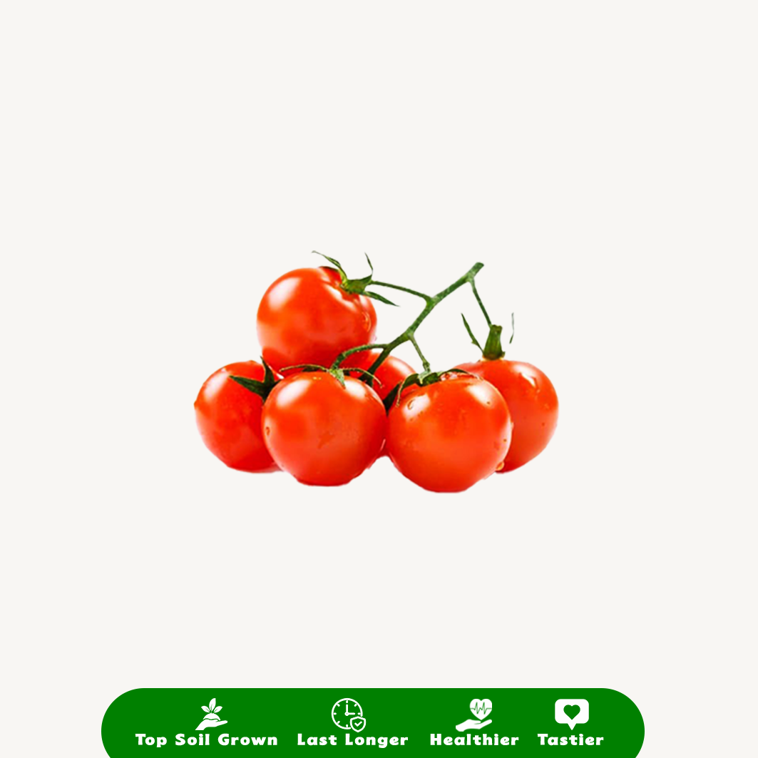 Tomat Cherry Merah