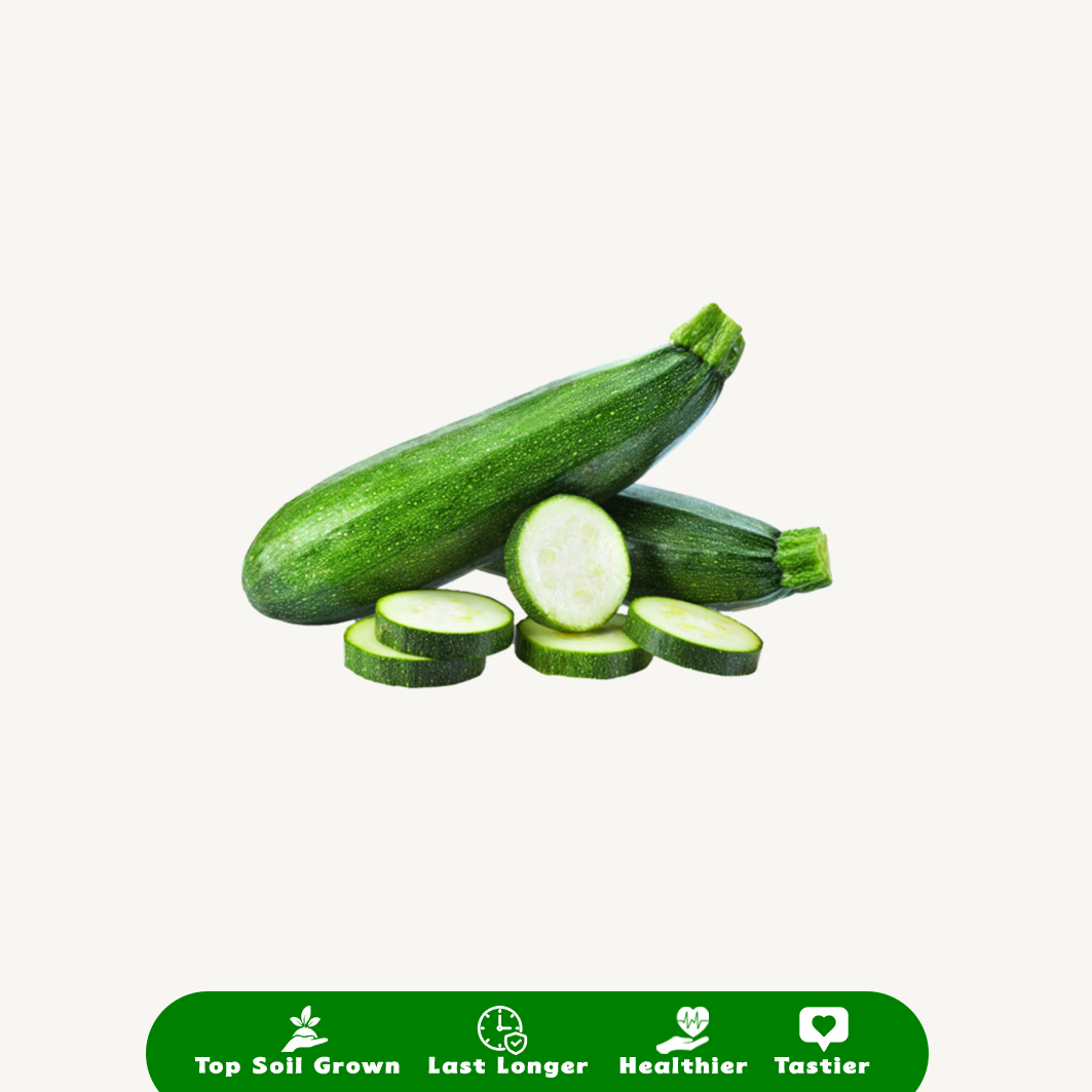 Zucchini