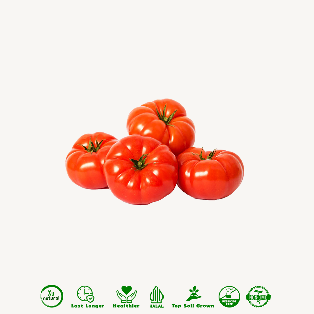 Tomat Beef Organik