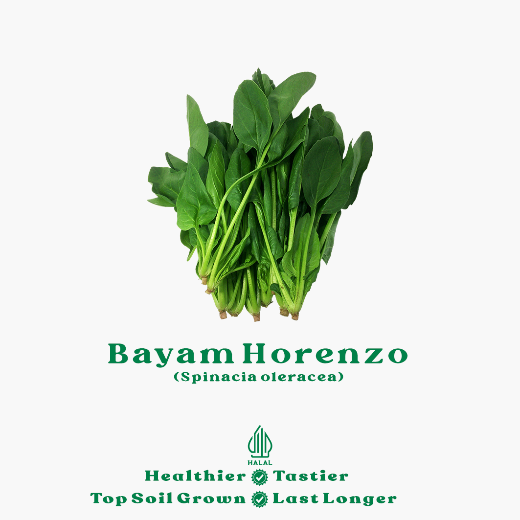 bayam horenzo bayam horenzo