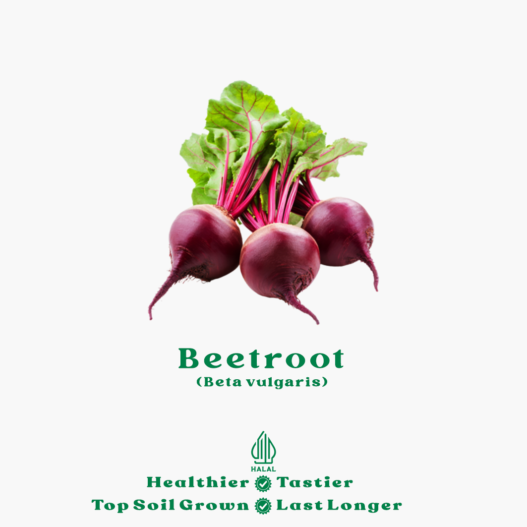 beetroot beetroot