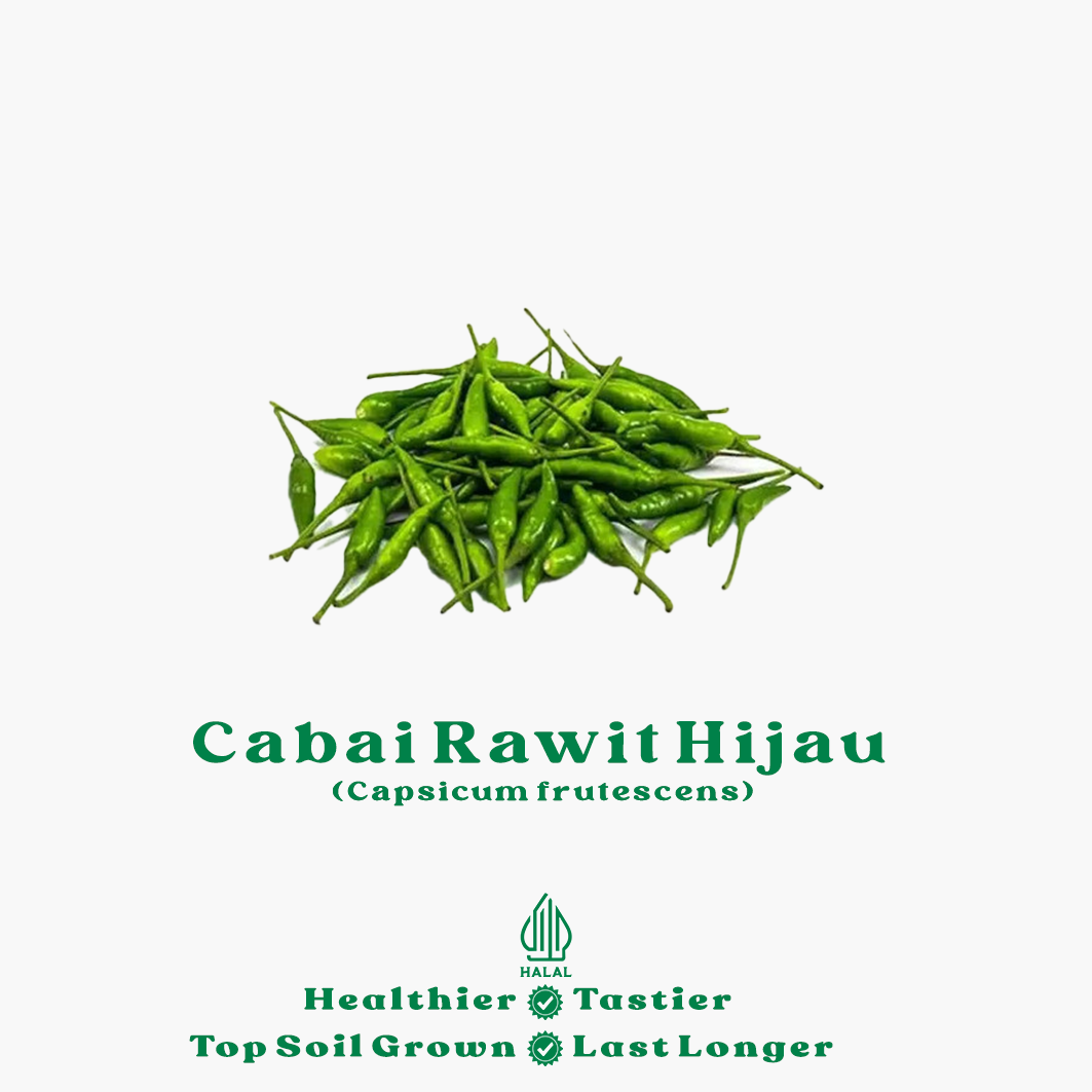 cabai rawit hijau cabai rawit hijau