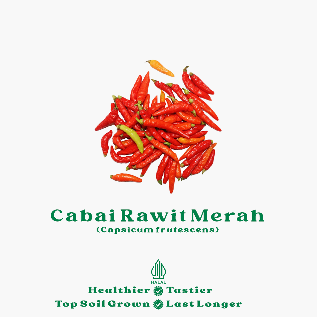 cabai rawit merah cabai rawit merah