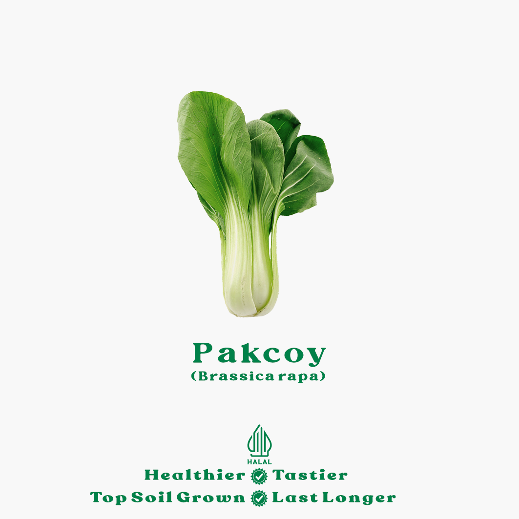 pakcoy pakcoy