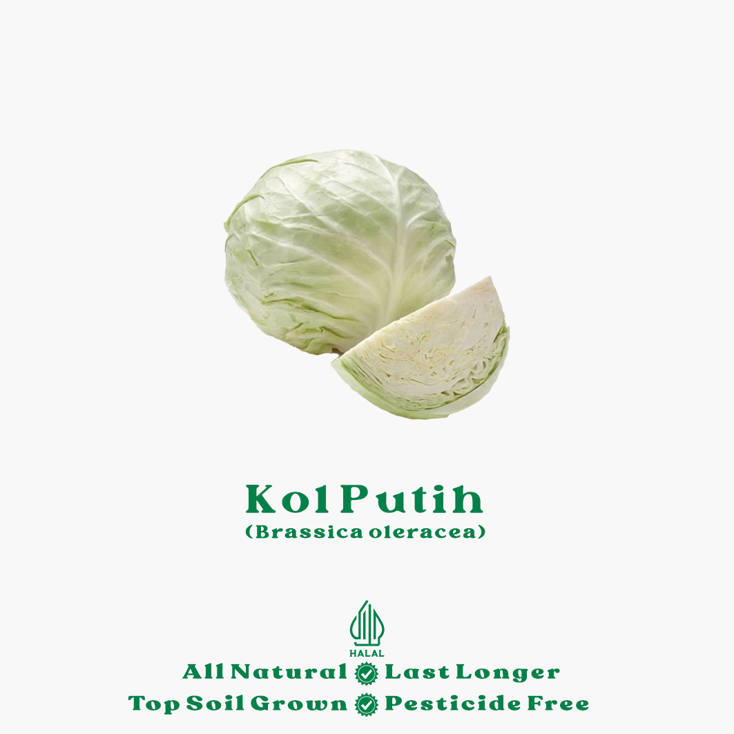 kol putih potong vacuum organik kol putih potong vacuum organik