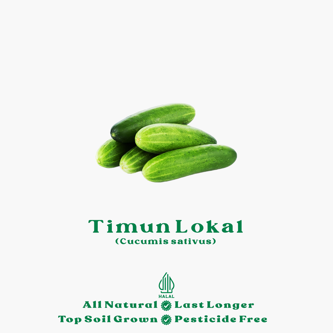 timun lokal organik timun lokal organik