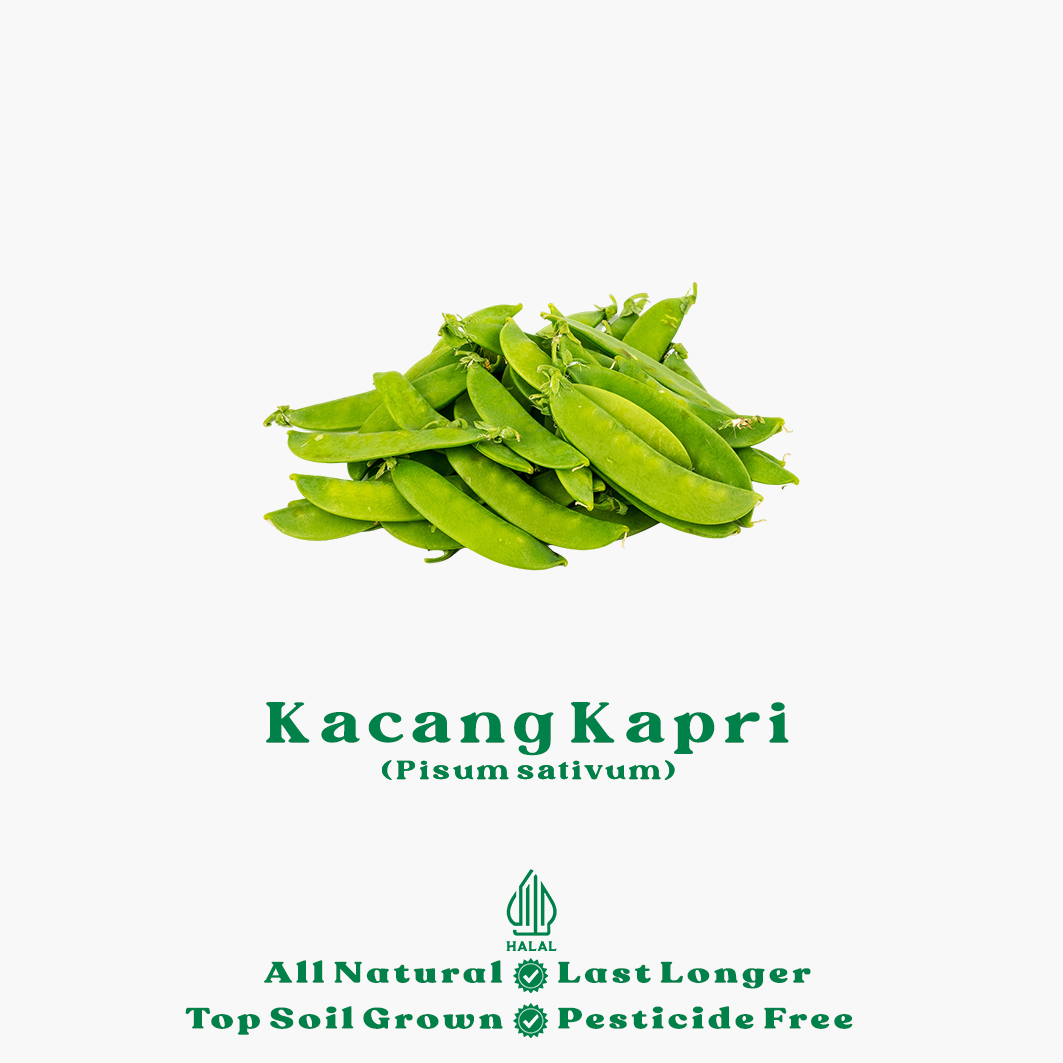 kacang kapri (salin) kacang kapri (salin)