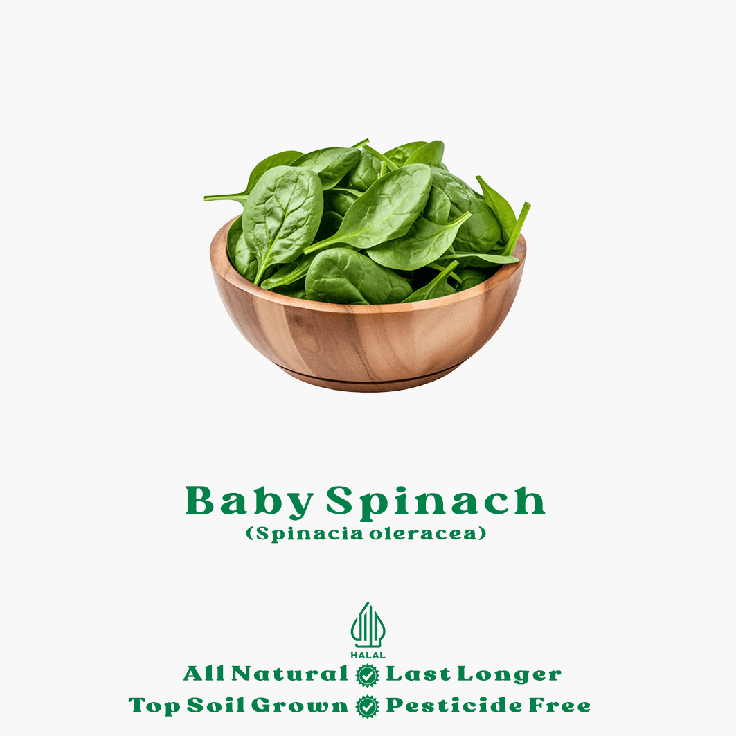 baby spinach organik