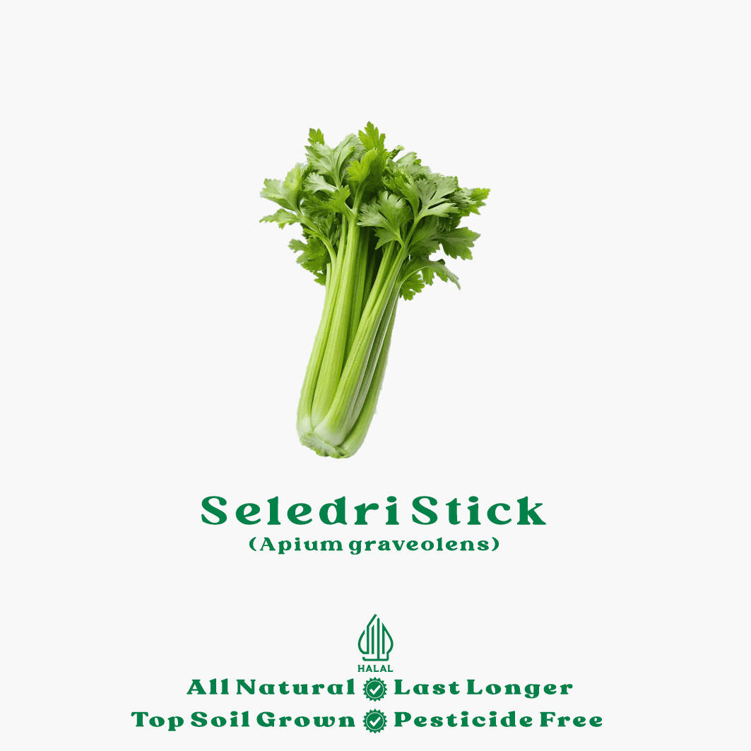 seledri stick organik seledri stick organik