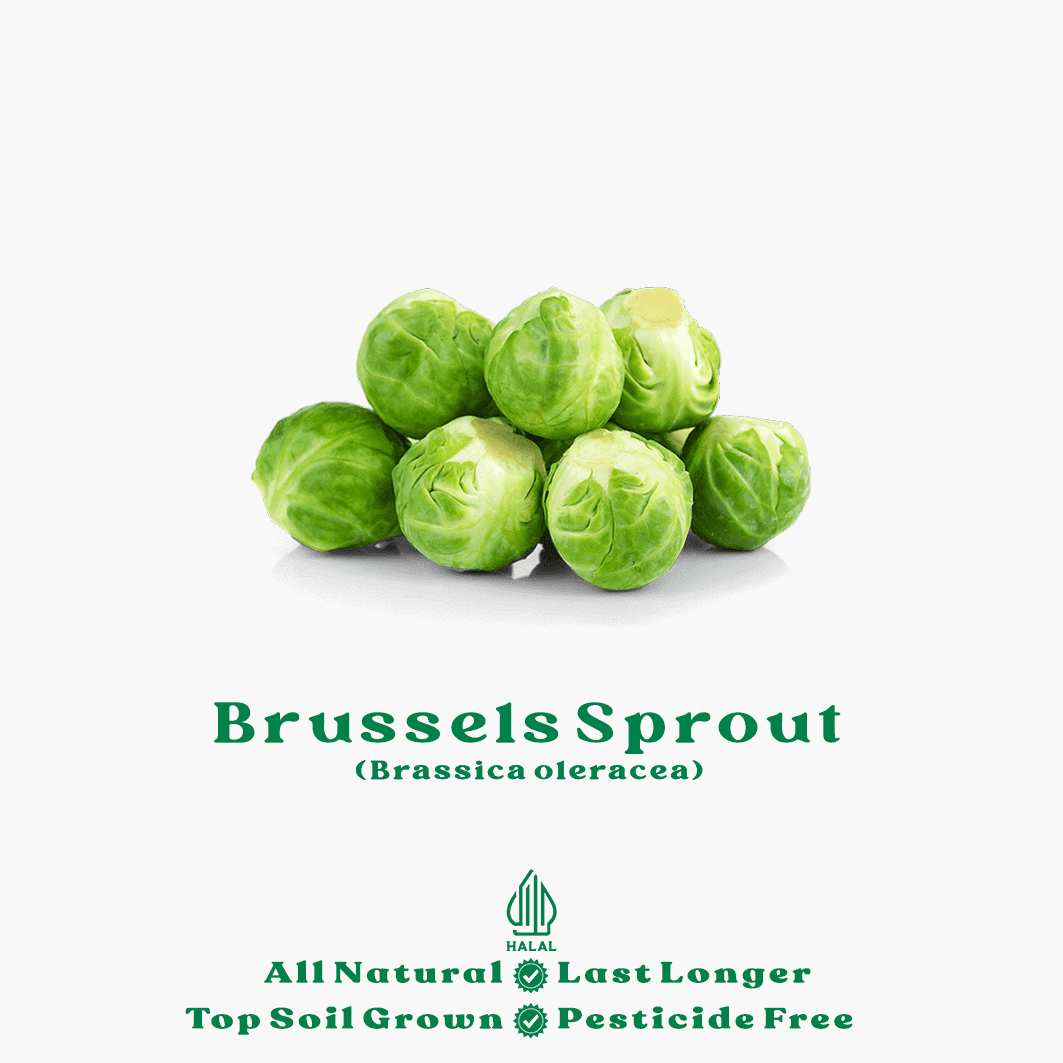 sayur organik brussels sprout sayur organik brussels sprout